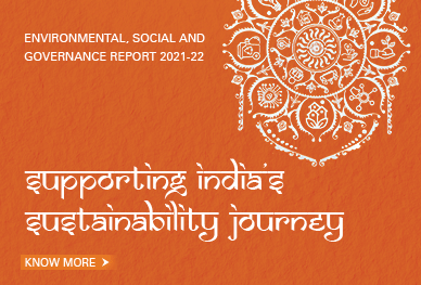 environmental-social-governance-report