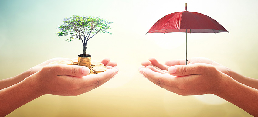 difference between term plan and life insurance