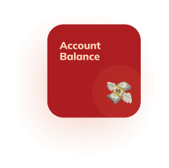 account balance